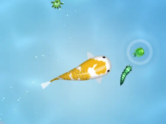 Καρπός κοι κολυμπά σε λίμνη στο Zen Koi 2